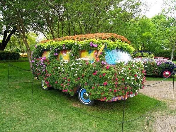 Splendid and colorful flower car landscape